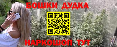 ГАЛЛЮЦИНОГЕННЫЕ ГРИБЫ Кингисепп